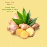 Natural Ginger Oil Flavor 01155YA